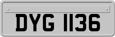 DYG1136