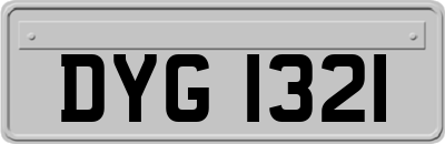 DYG1321