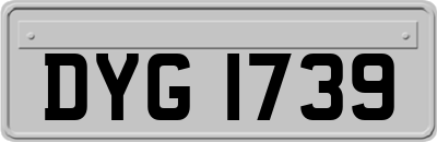 DYG1739
