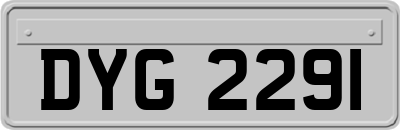 DYG2291