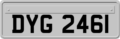 DYG2461