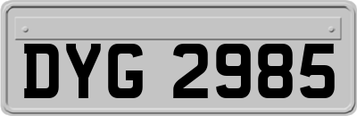 DYG2985