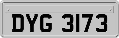DYG3173
