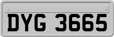 DYG3665