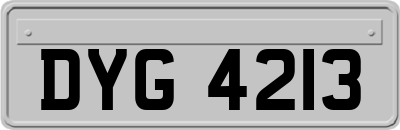 DYG4213