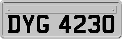 DYG4230