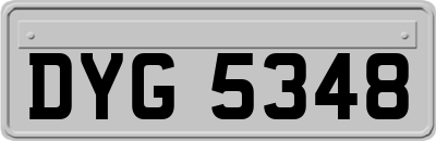 DYG5348