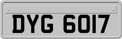 DYG6017