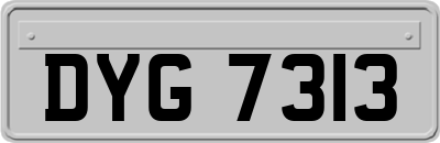 DYG7313