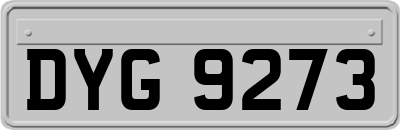DYG9273