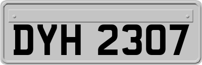 DYH2307