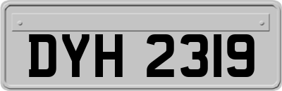 DYH2319