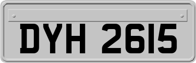 DYH2615