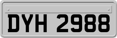 DYH2988