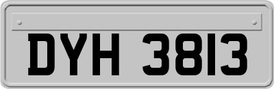 DYH3813