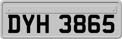 DYH3865