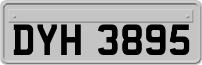 DYH3895