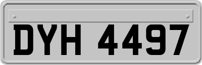 DYH4497