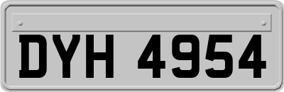 DYH4954