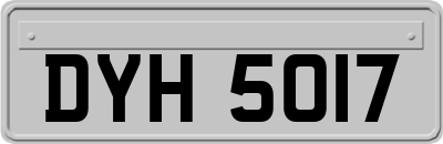 DYH5017