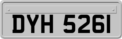DYH5261