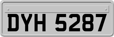 DYH5287