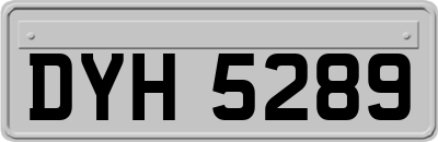 DYH5289