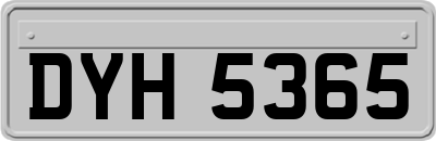 DYH5365