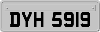 DYH5919