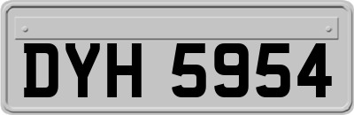DYH5954