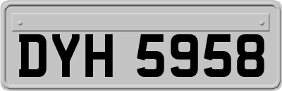 DYH5958