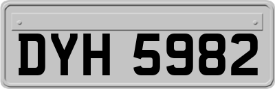 DYH5982