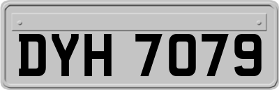 DYH7079