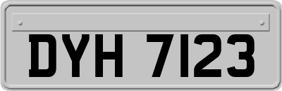 DYH7123