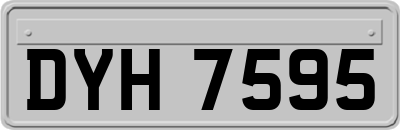 DYH7595