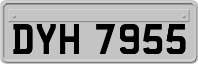 DYH7955