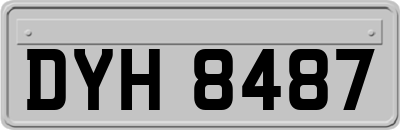 DYH8487