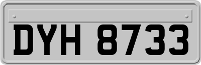 DYH8733