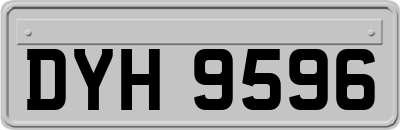 DYH9596