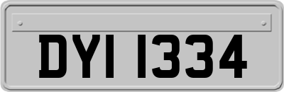 DYI1334