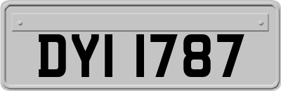 DYI1787