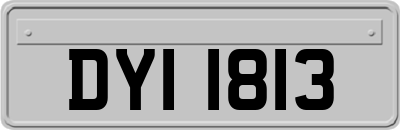 DYI1813