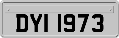 DYI1973
