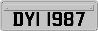 DYI1987