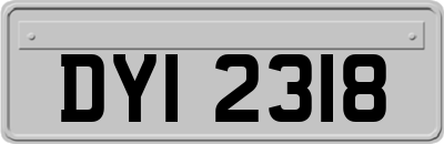 DYI2318