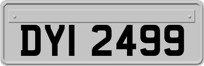 DYI2499