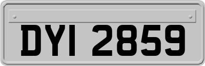 DYI2859