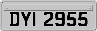 DYI2955