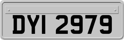 DYI2979