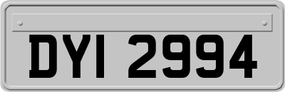 DYI2994